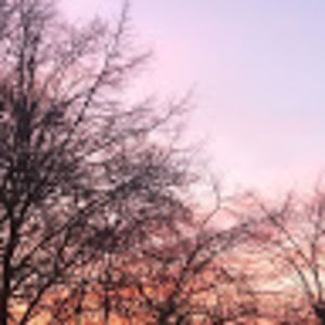 Meet your Posher, Audrey